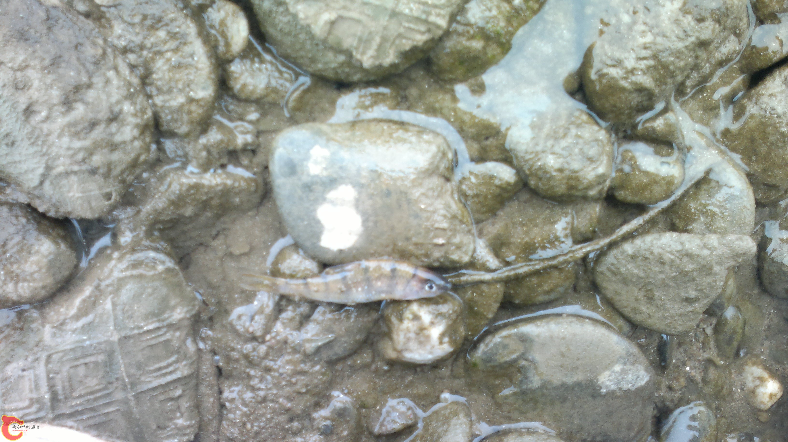 20120409145.jpg