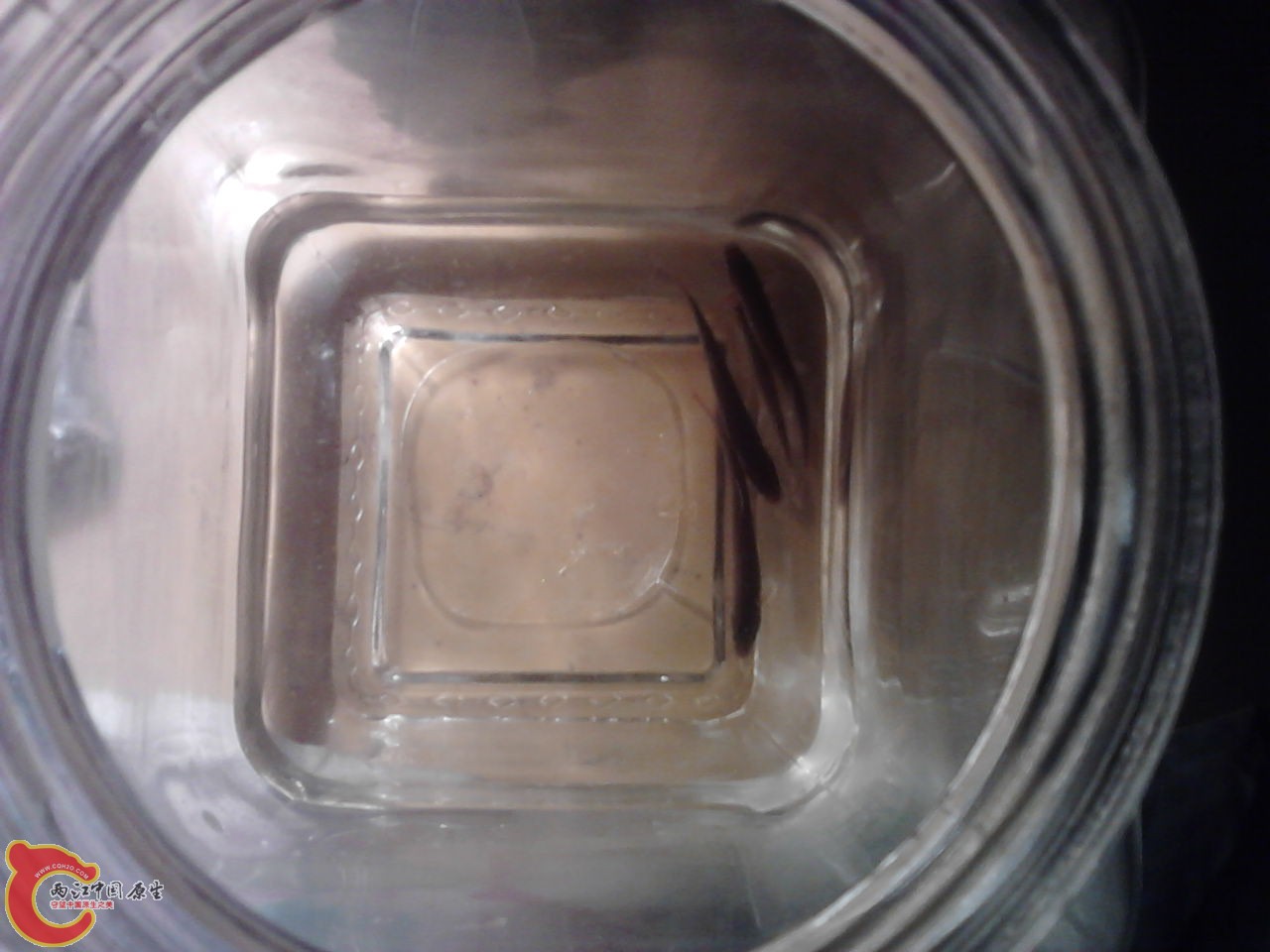 P10-04-12_09-47.jpg