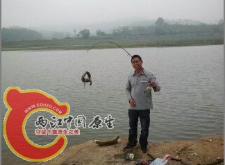 222.jpg