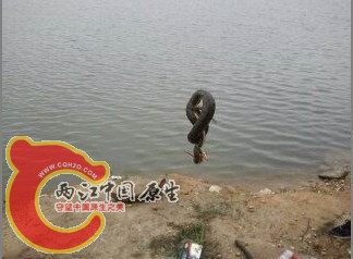 111.jpg