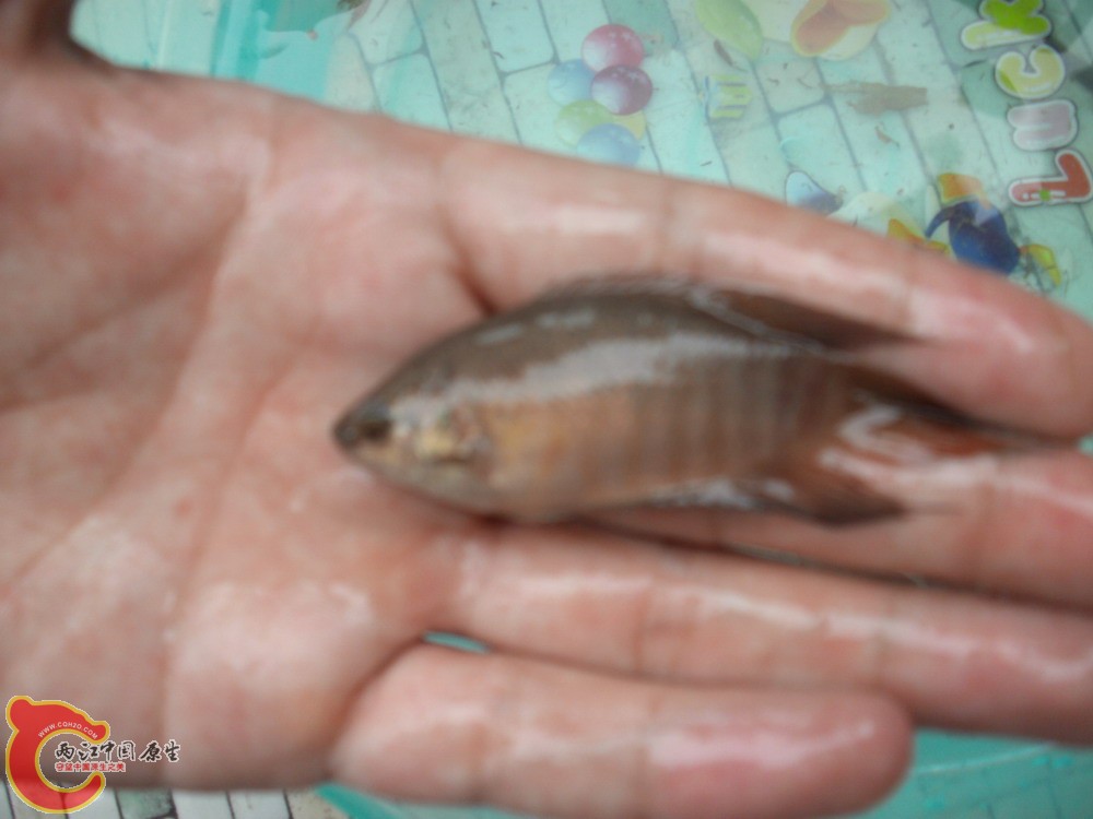 PICT0325.JPG