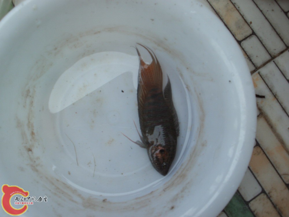 PICT0332.JPG