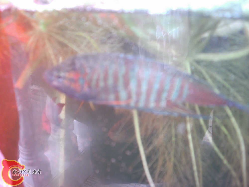 PICT0342.JPG