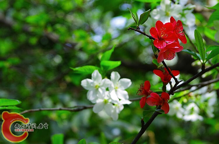 IMGP2144.jpg