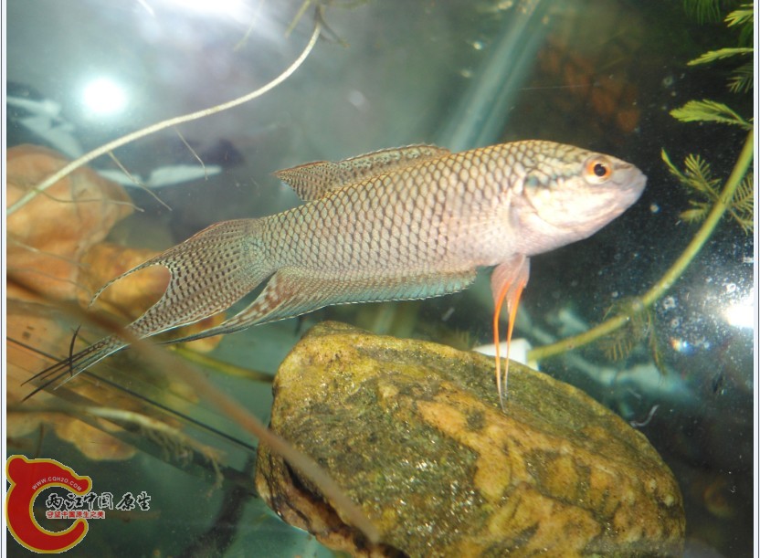 T%H61WB[88G3WBNSP9B7ART.jpg