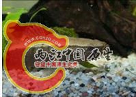 QQ截图20120411144757.png