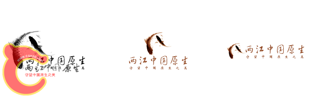 两江副本.png