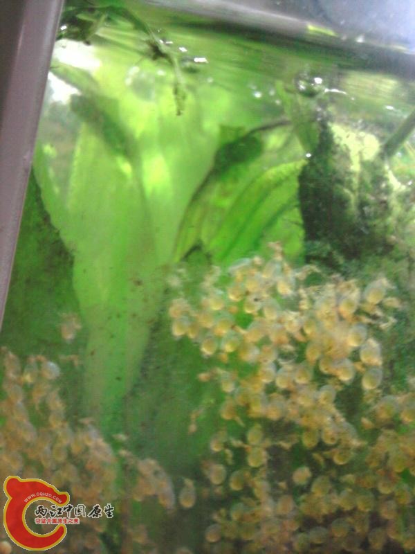 照片-0003.jpg