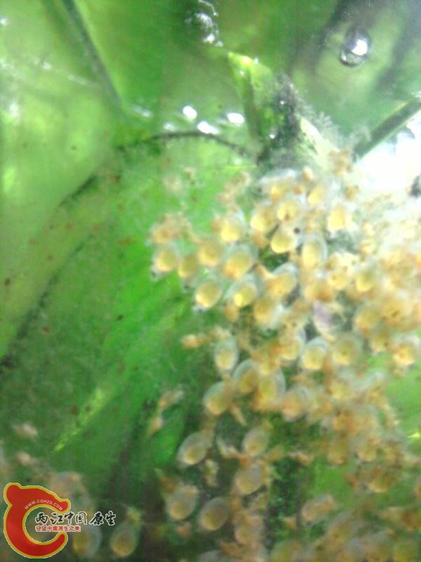 照片-0006.jpg