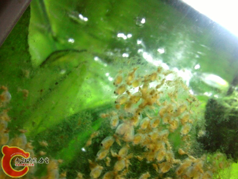 照片-0010.jpg