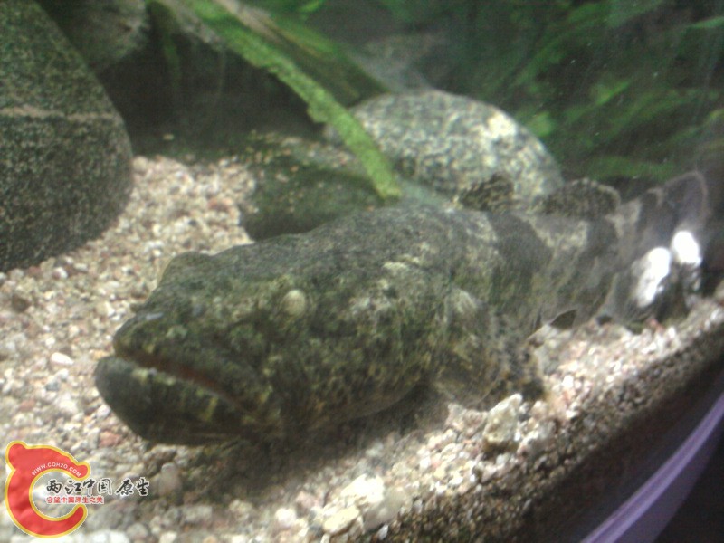 照片-0012.jpg