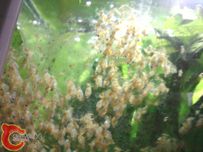 照片-0013.jpg