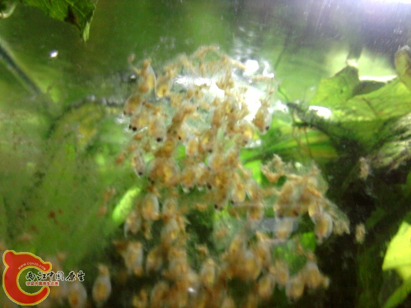 照片-0014.jpg