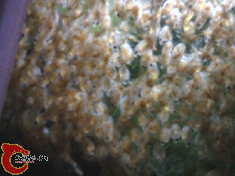 照片-0015.jpg