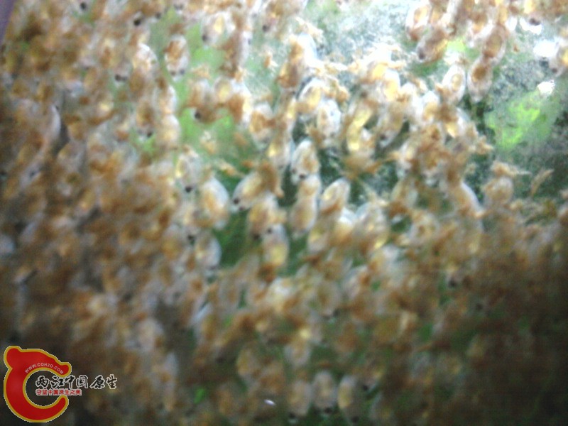 照片-0016.jpg