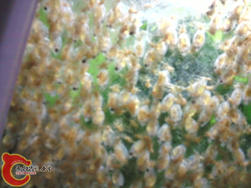 照片-0017.jpg