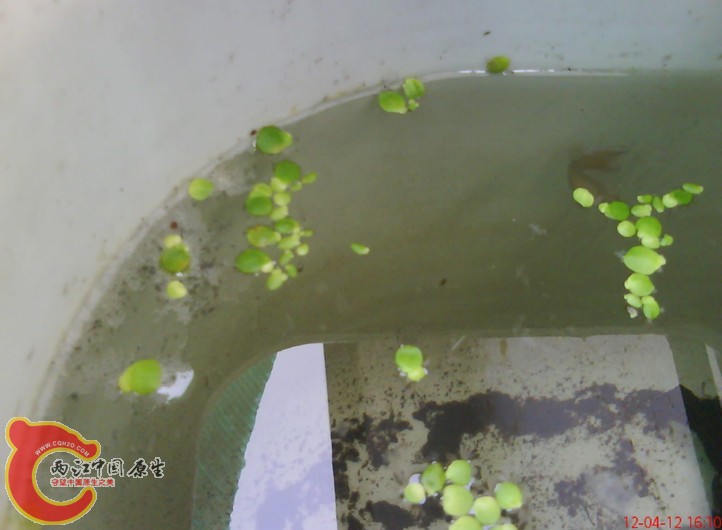 NC9Q%)TC_]$UMW~@NZ~Y~D4.jpg