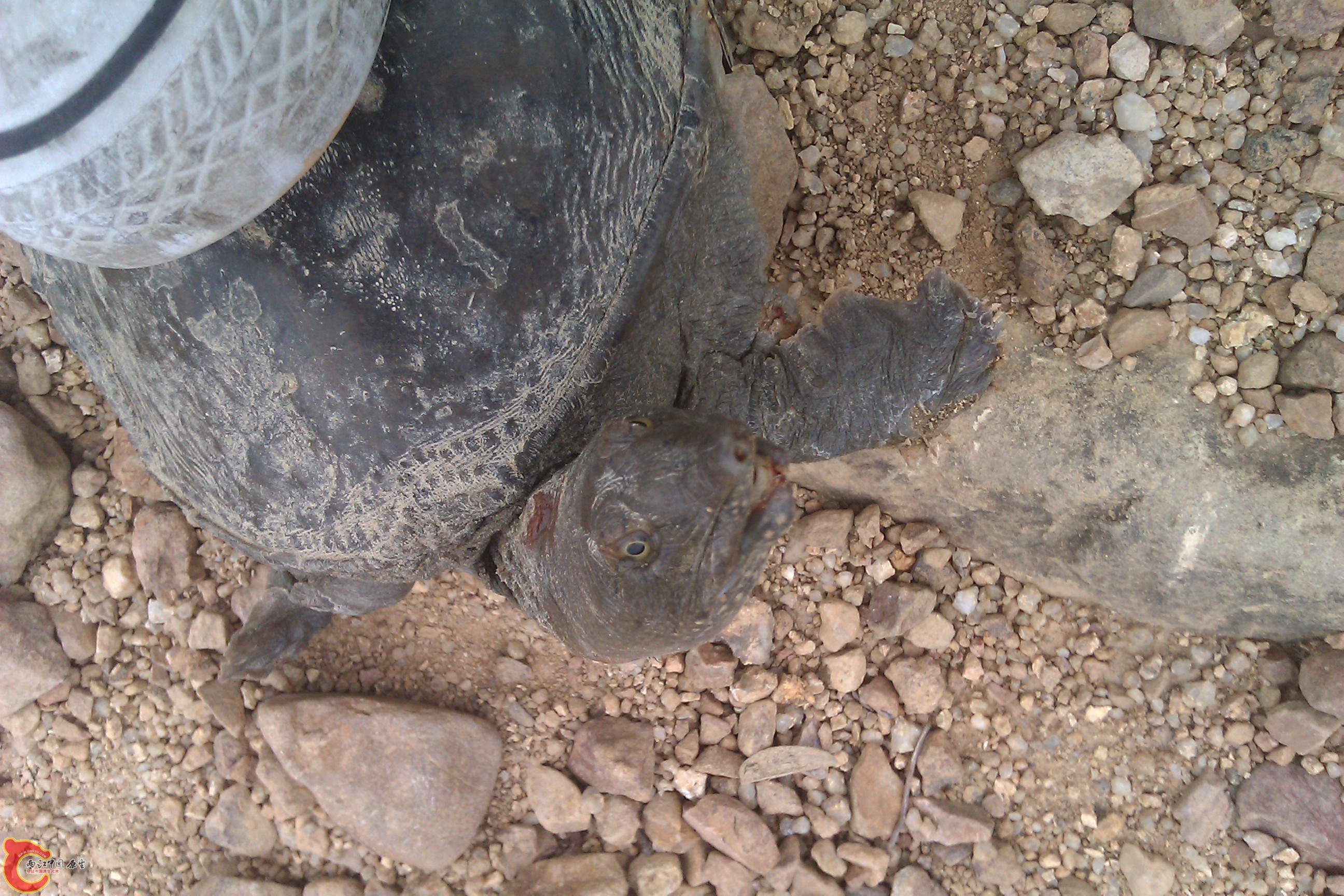 IMAG0040.jpg