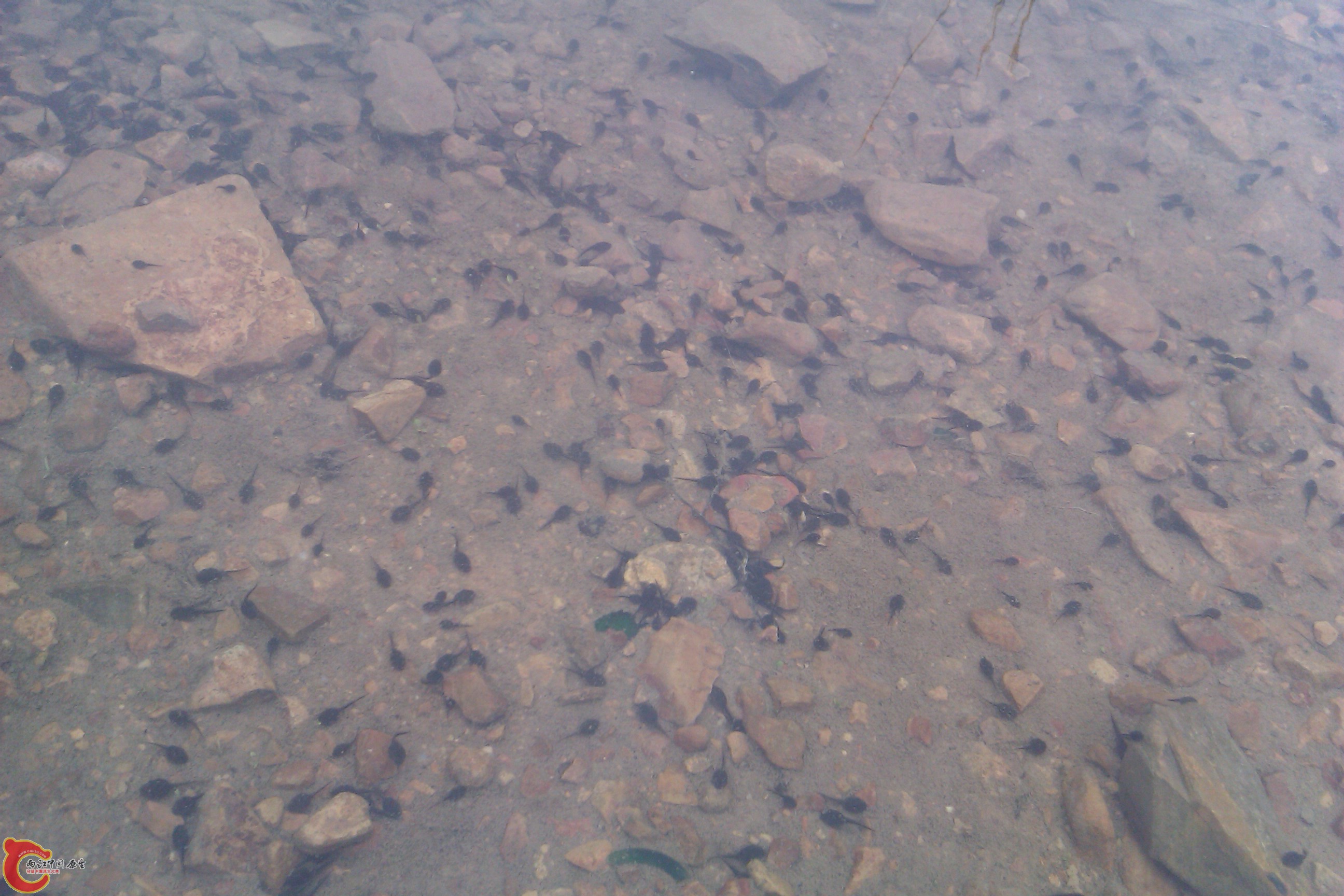 IMAG0048.jpg