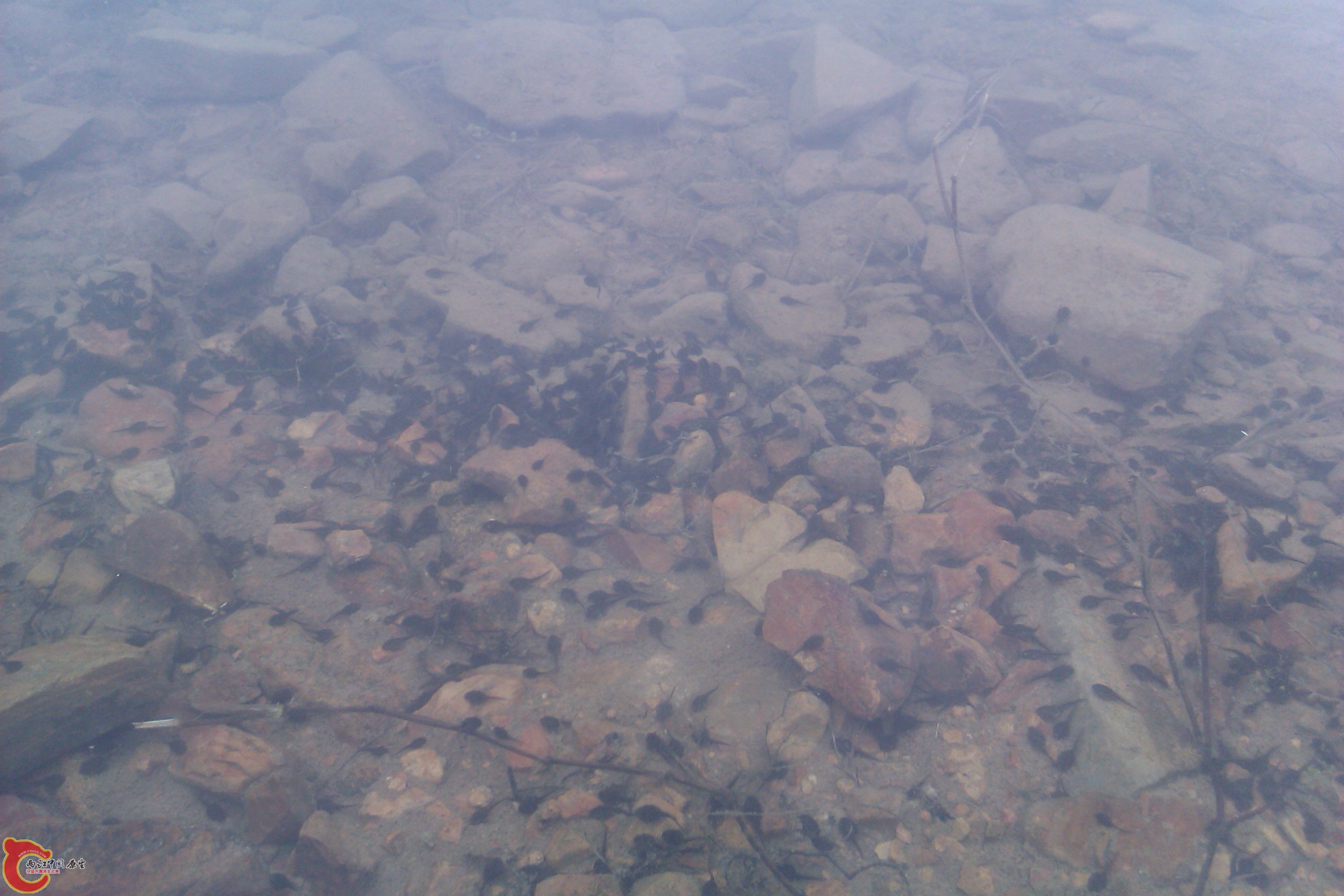 IMAG0049.jpg