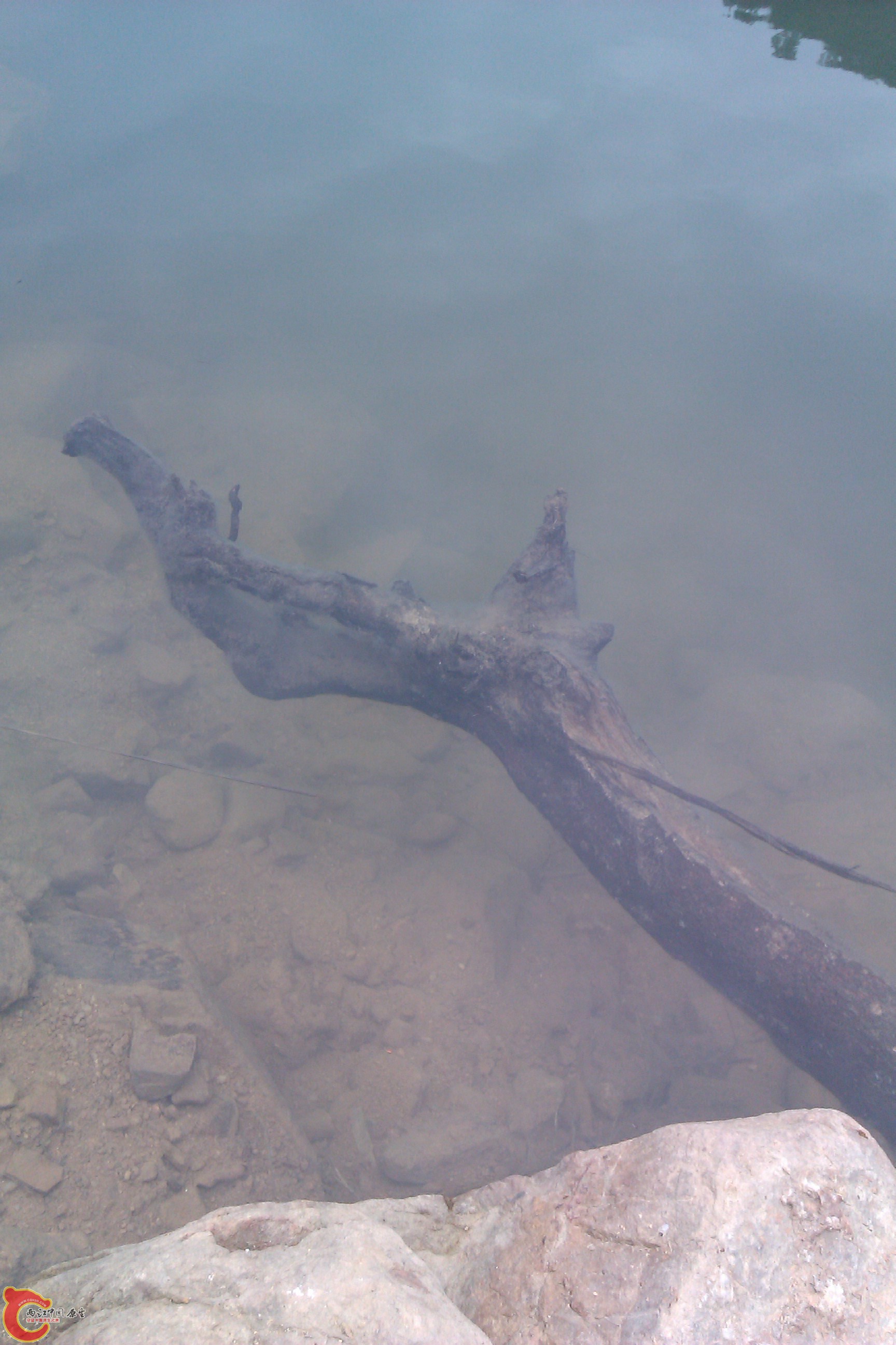 IMAG0051.jpg