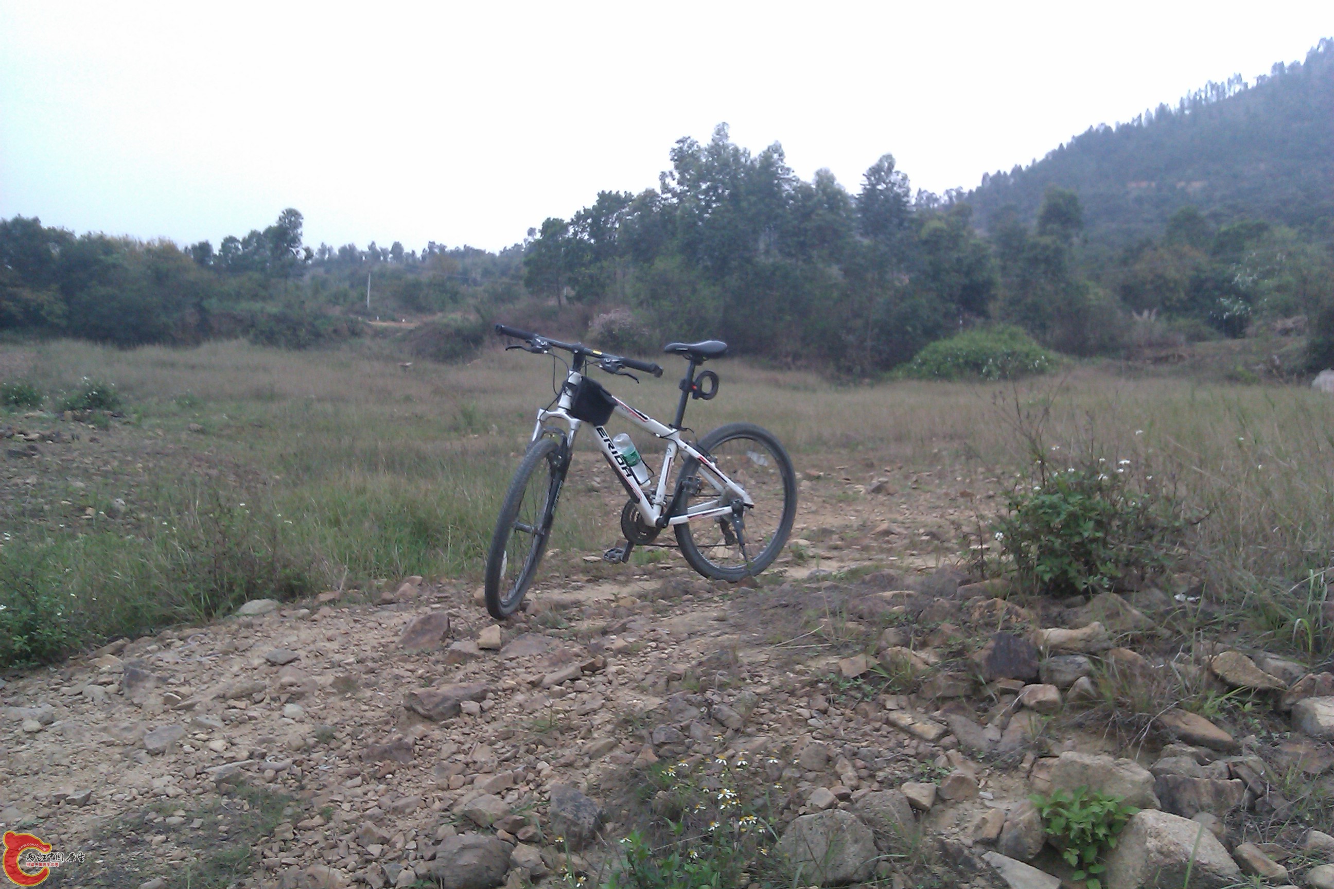 IMAG0053.jpg