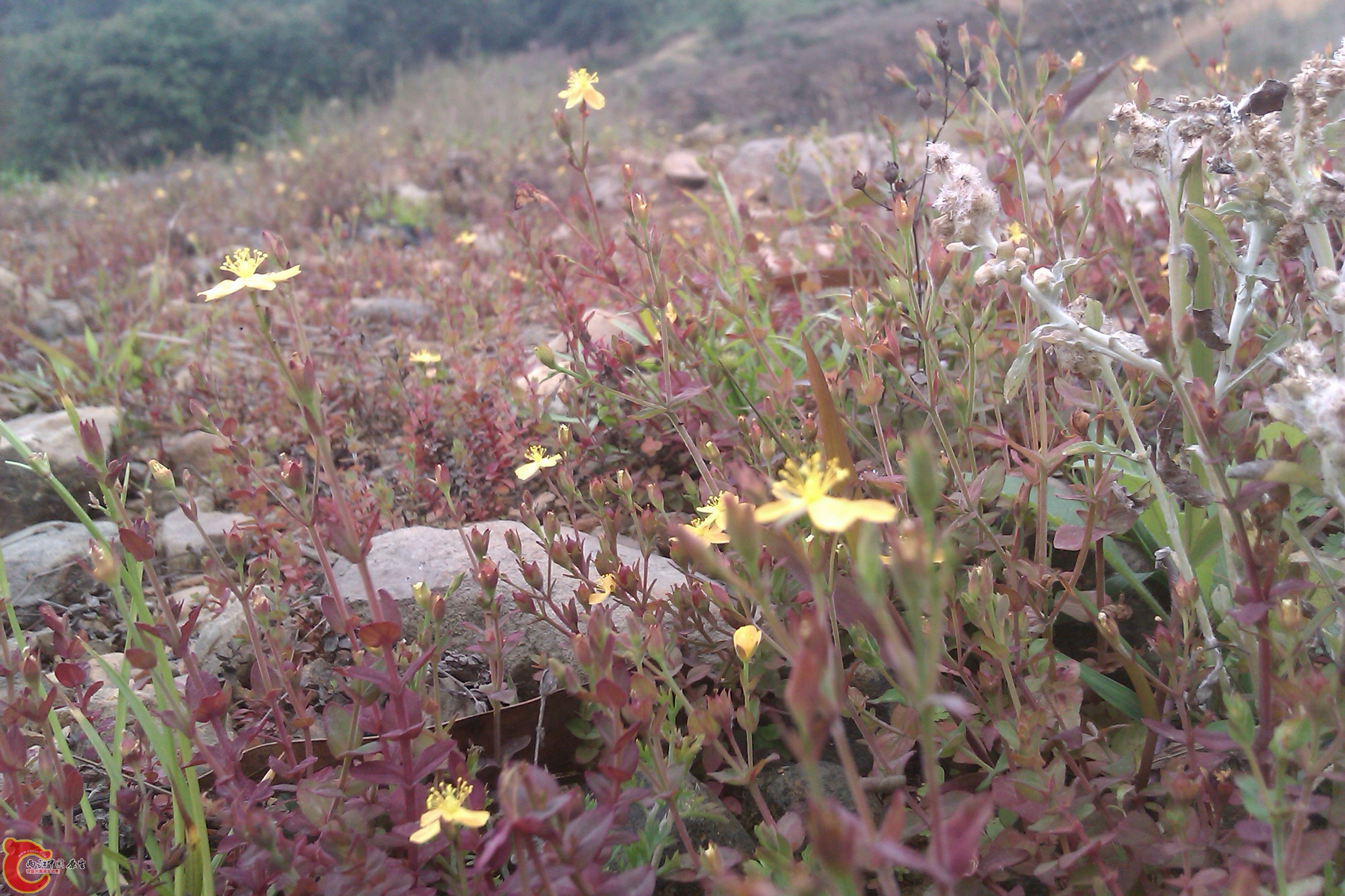 IMAG0057.jpg