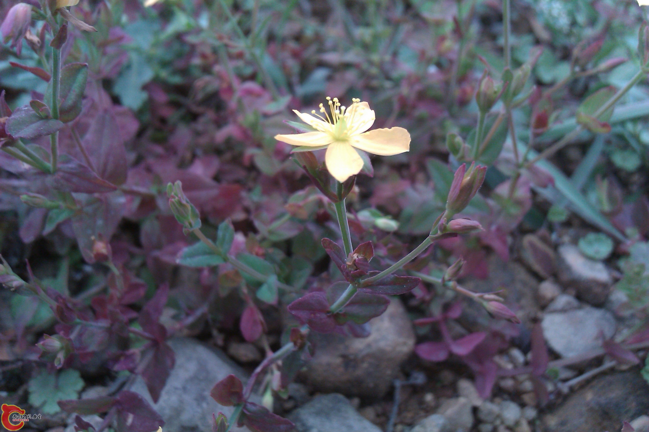 IMAG0058.jpg