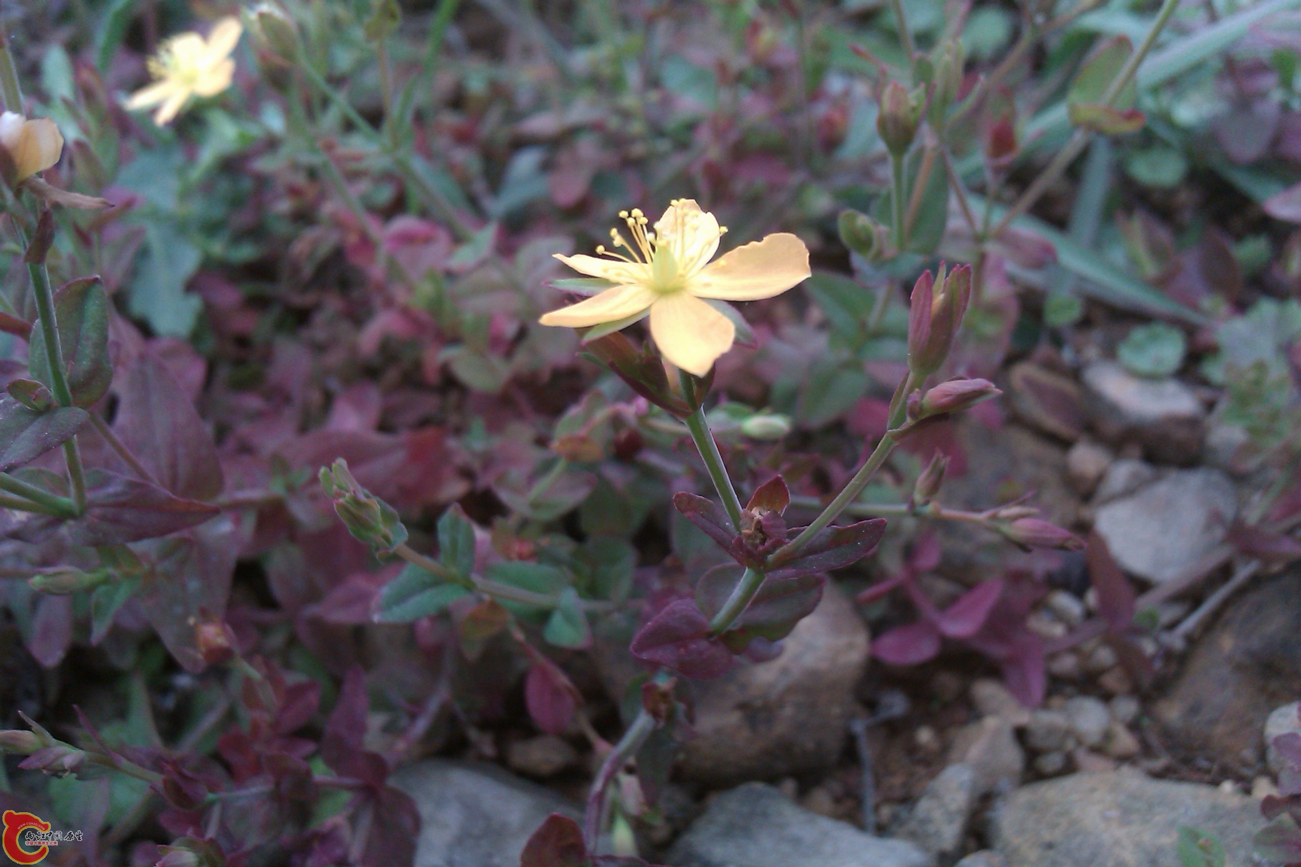 IMAG0059.jpg
