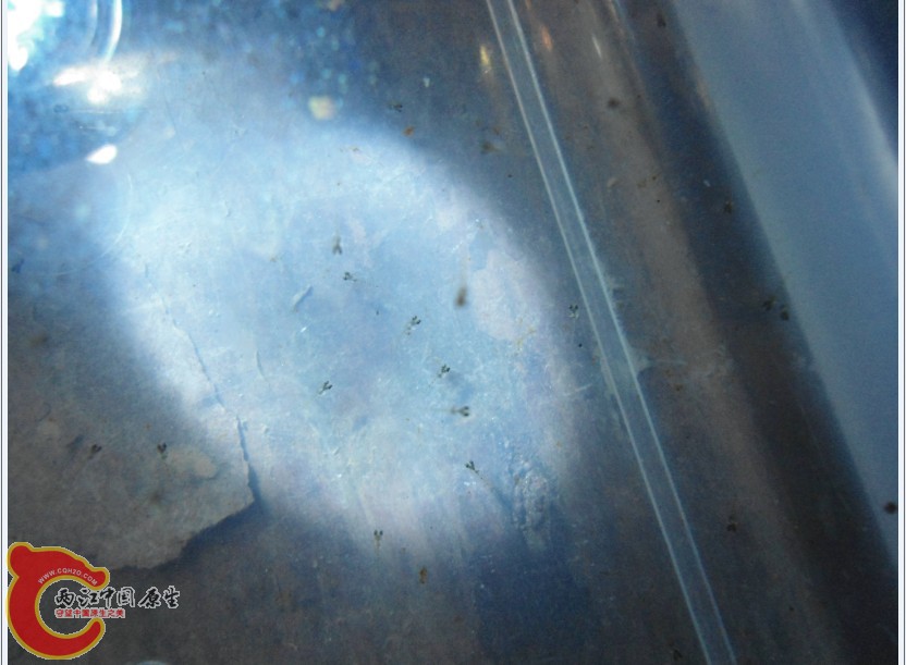 J%X_0[W(1}K24}T4QM]7NR8.jpg