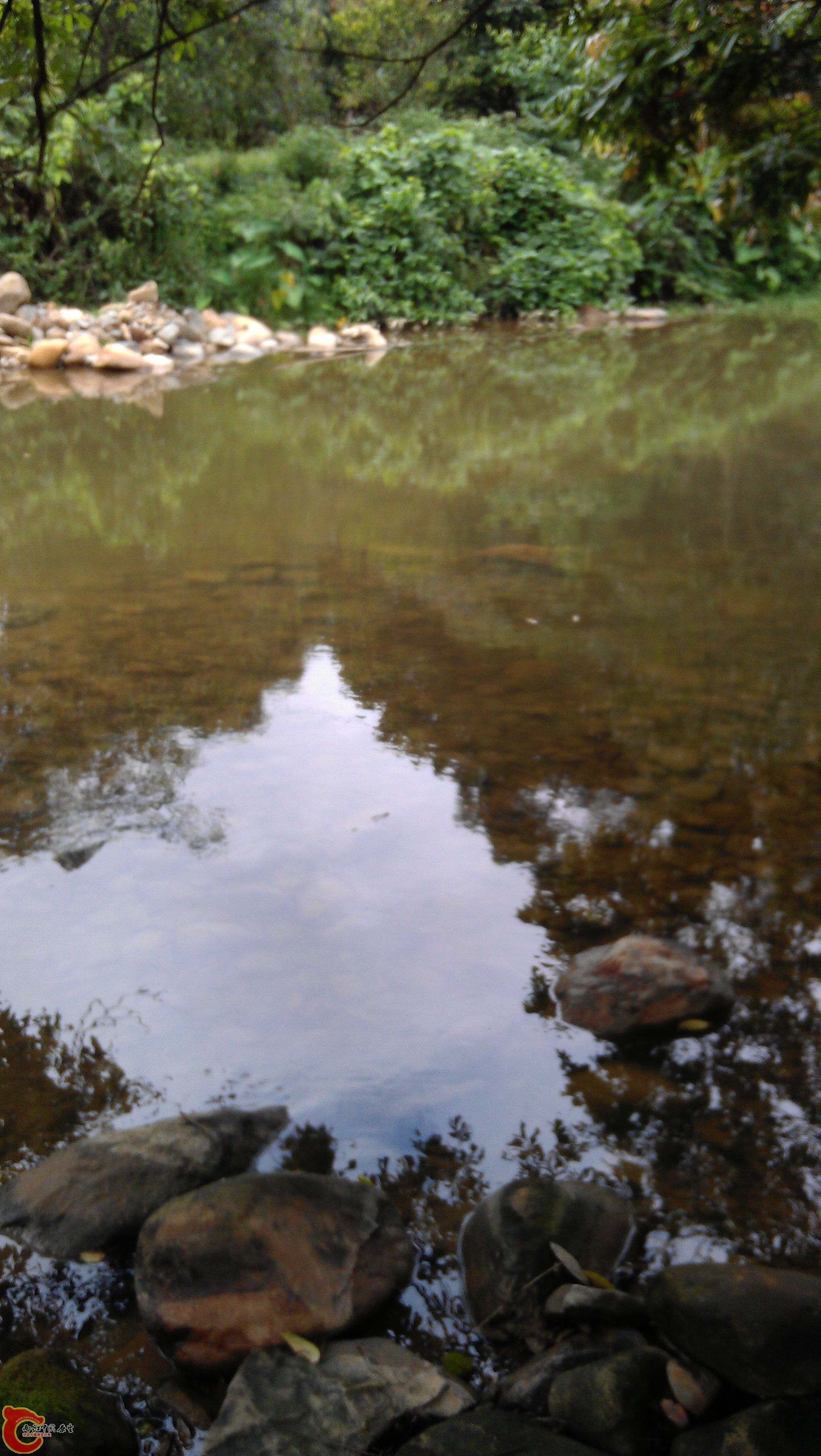 IMAG0168.jpg