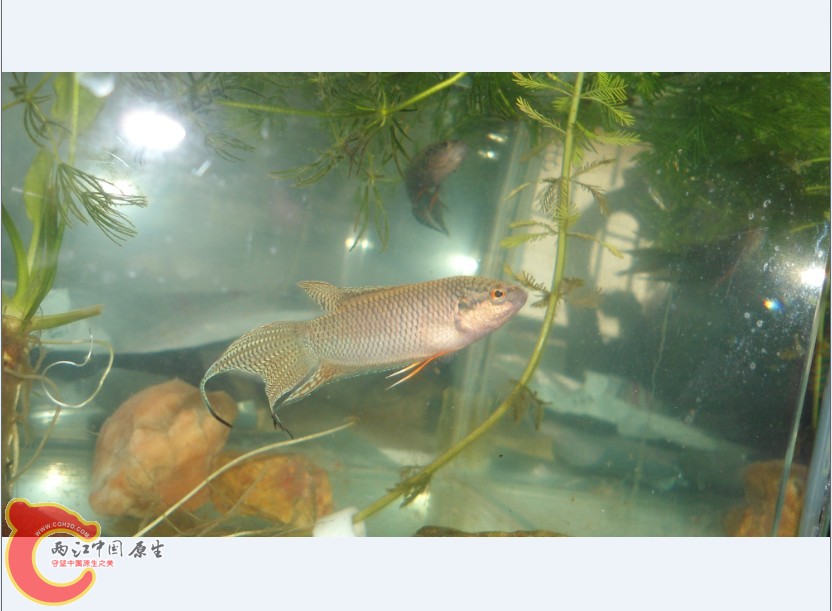(F1YV]J1Y2$`(KG4K1L6ZQR.jpg