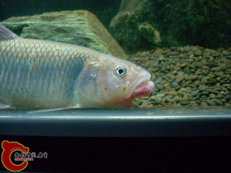 DSCN1478_调整大小.JPG