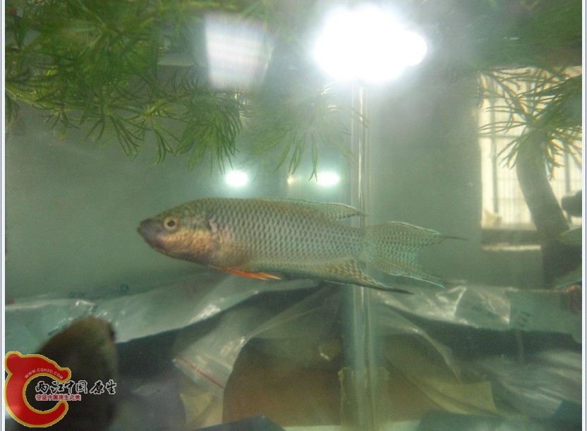 AD]D_BQ%J4[ZMP[S]%~9Q.jpg