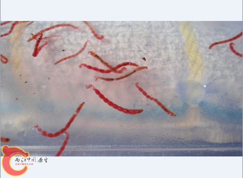 ORY_T4SQM[}7GY(8L6[$M[C.jpg