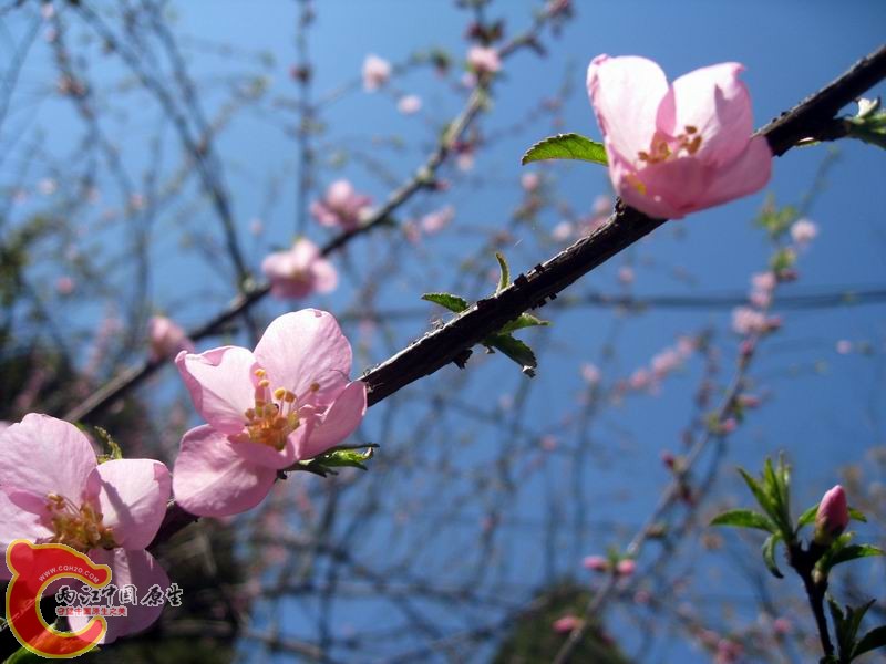 照片 885.jpg