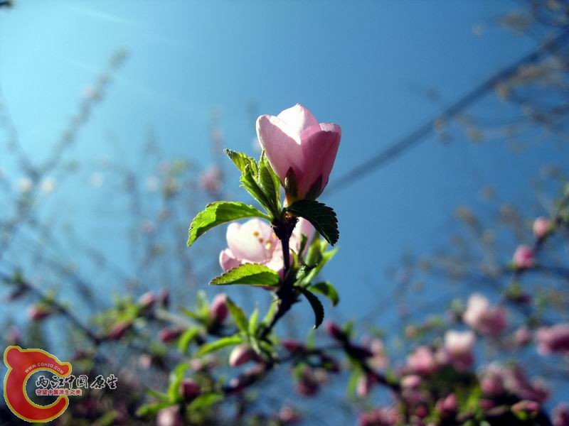 照片 887.jpg