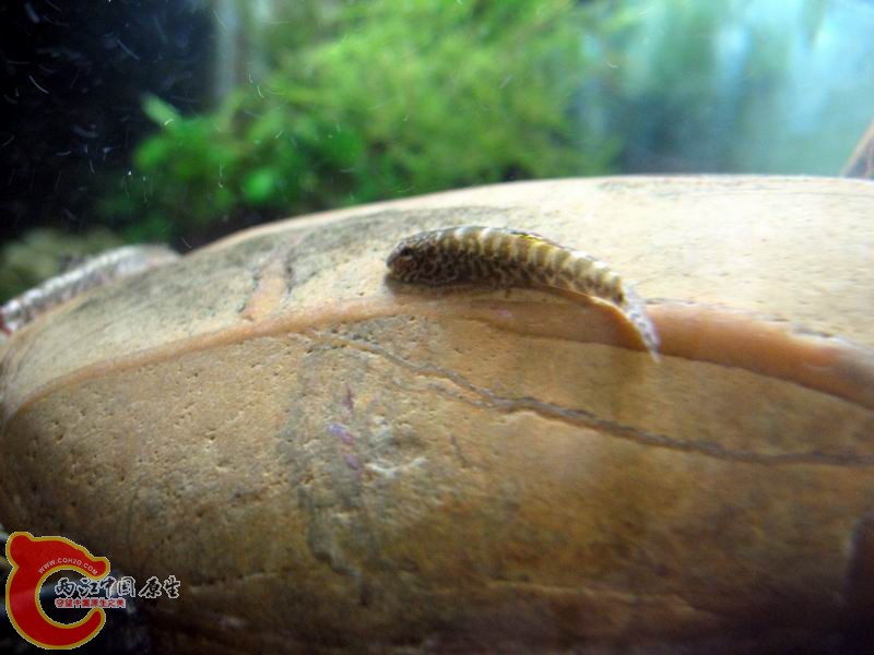 照片 915.jpg