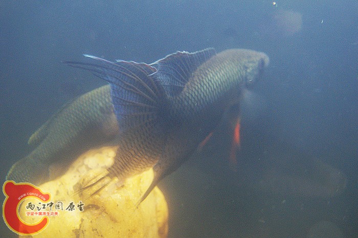 02.jpg