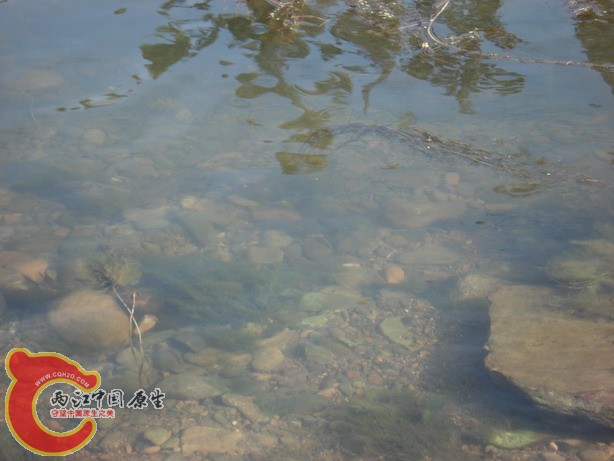 DSC03541_调整大小.JPG