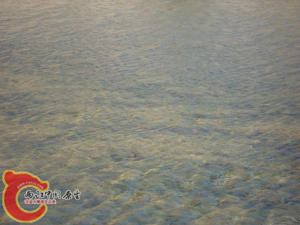 上游下水，青苔冲没了，水很轻