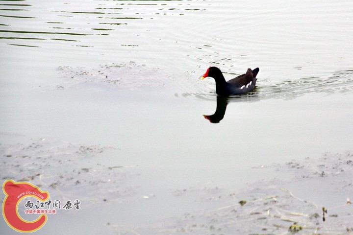 IMG_7663.jpg