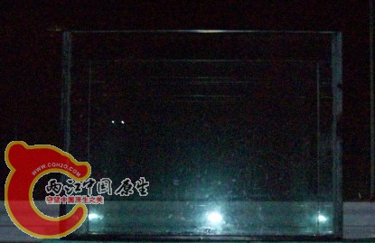 预备装旁皮的60cm缸2