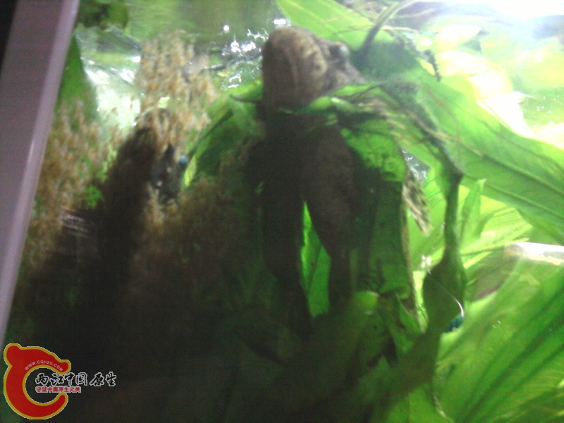 照片-0002.jpg