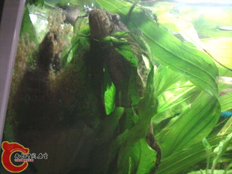 照片-0004.jpg