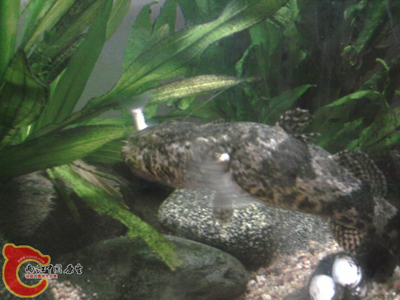 照片-0006.jpg