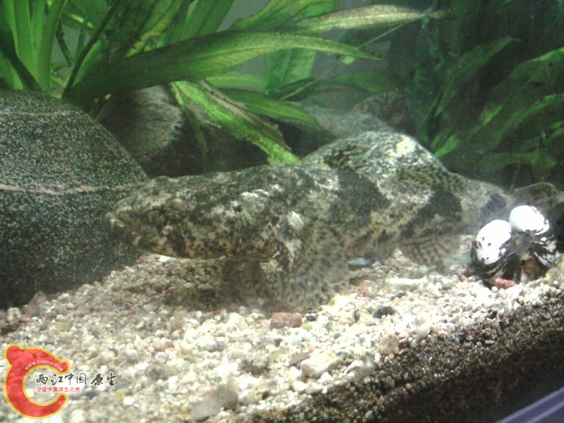 照片-0008.jpg