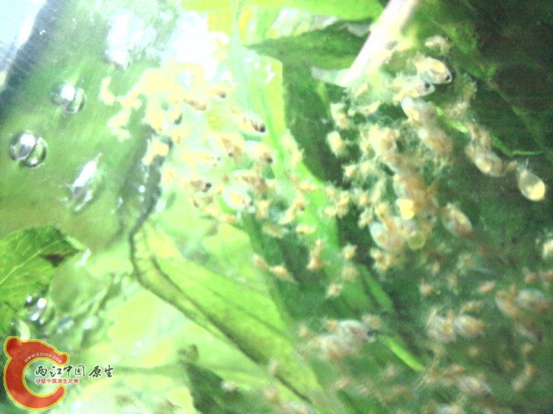 照片-0010.jpg