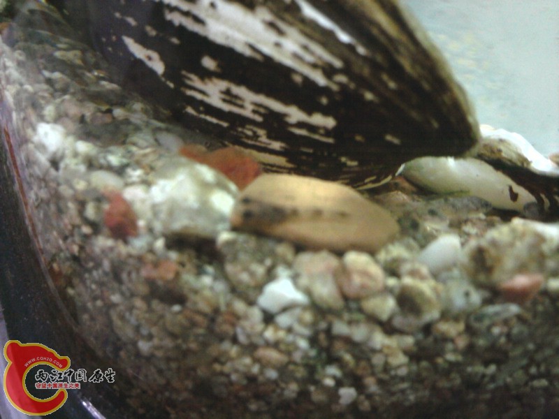 照片-0013.jpg