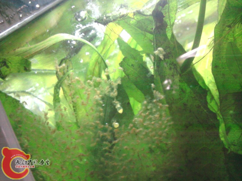 照片-0021.jpg